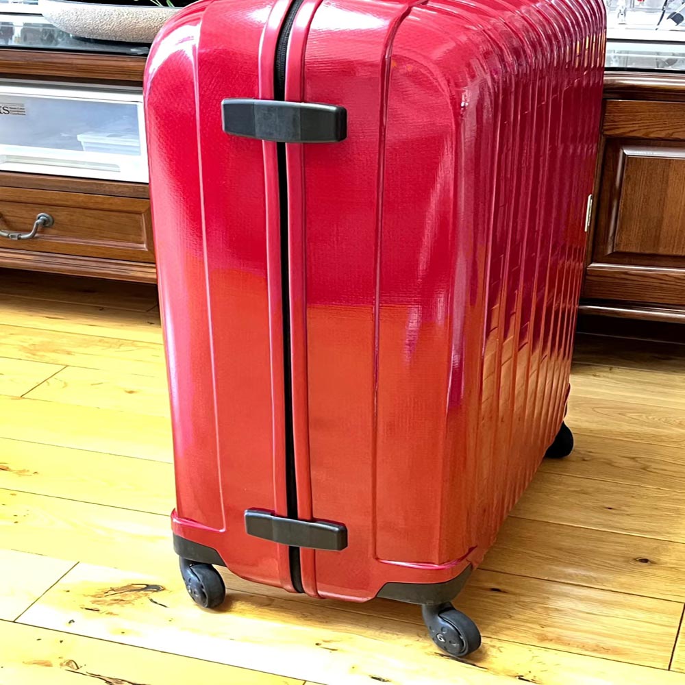 Петли для чемоданов Samsonite: – обзор и цена Travel Accessories Samsonite